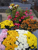 Homélie du 2 novembre 2025 - 