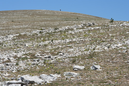 Desert et solitude