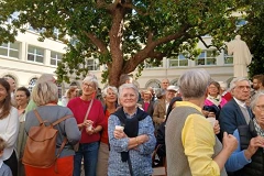 croisiere sur le Gavrinis
